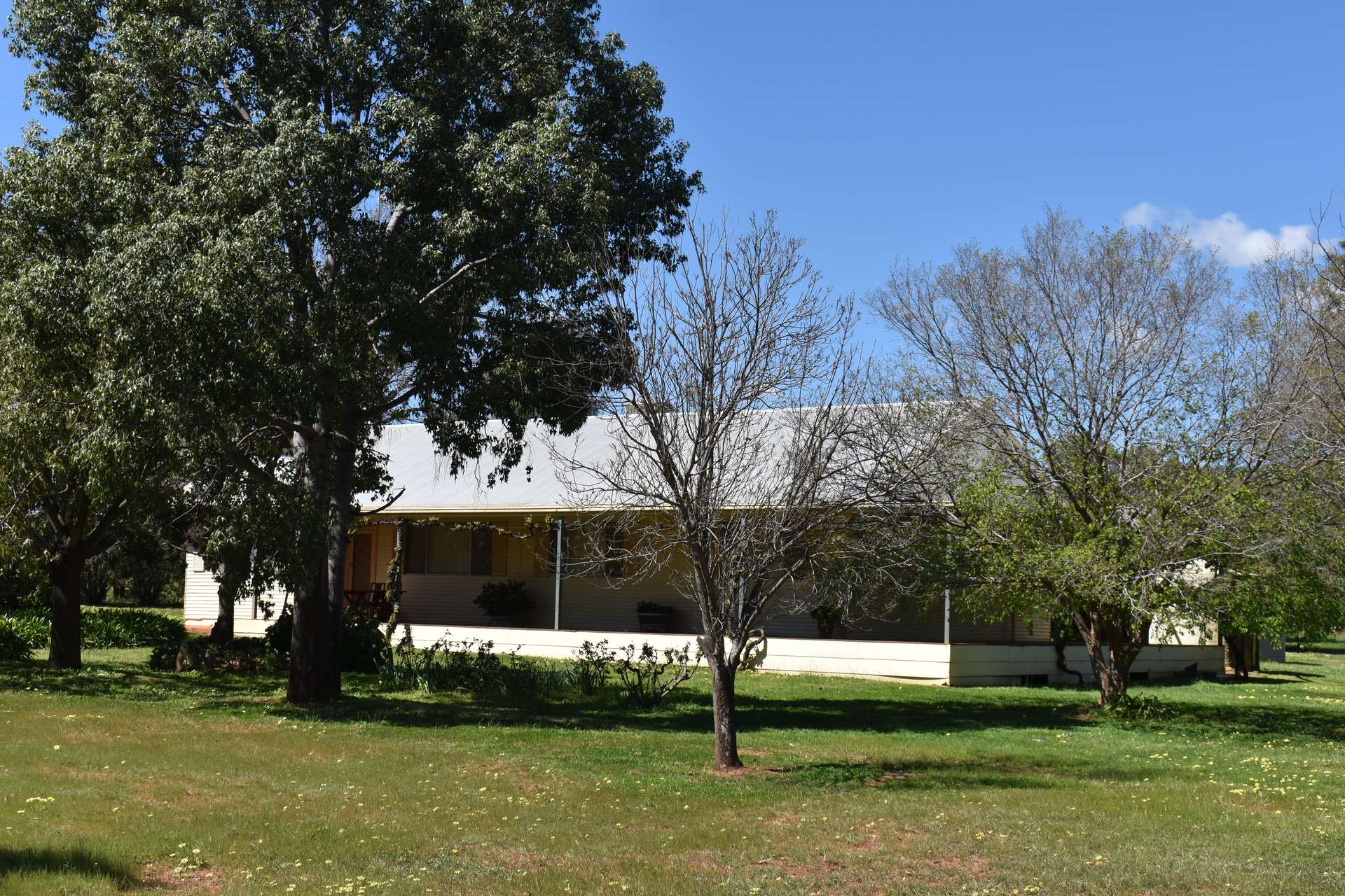 2892 Springvale Road, Condobolin For Sale by Farmbuy.com - image 32