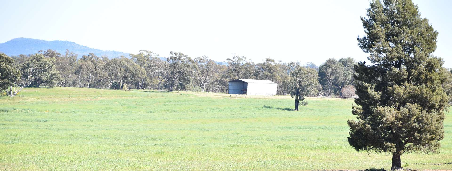 2892 Springvale Road, Condobolin For Sale by Farmbuy.com - image 28