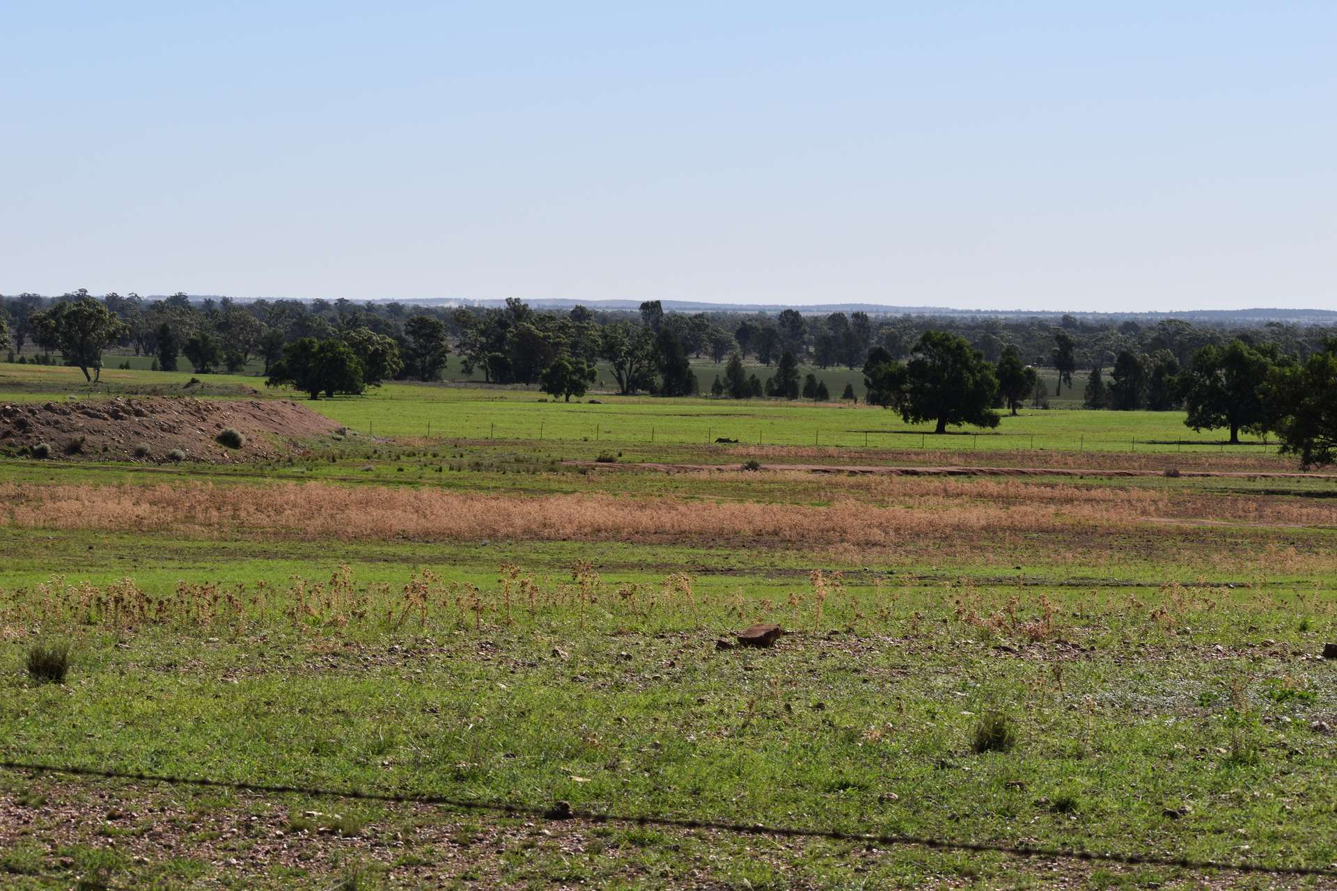 2892 Springvale Road, Condobolin For Sale by Farmbuy.com - image 18