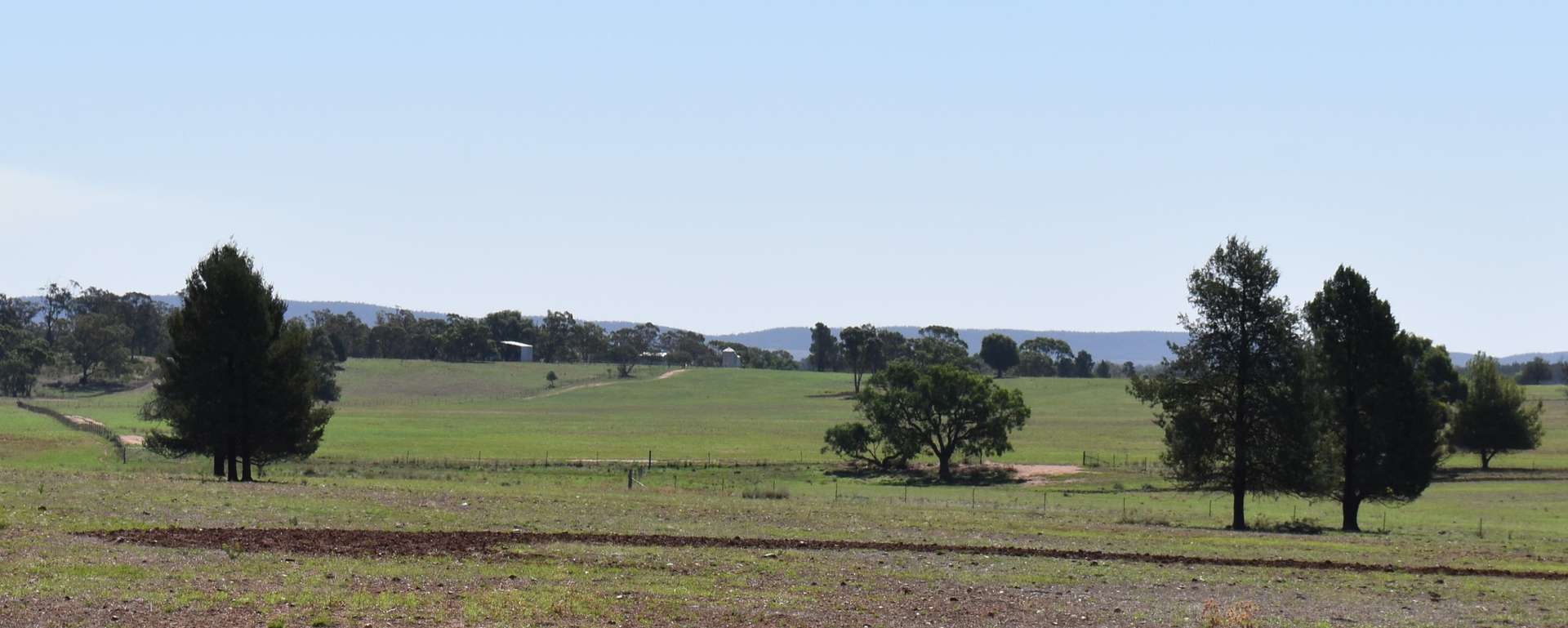 2892 Springvale Road, Condobolin For Sale by Farmbuy.com - image 20