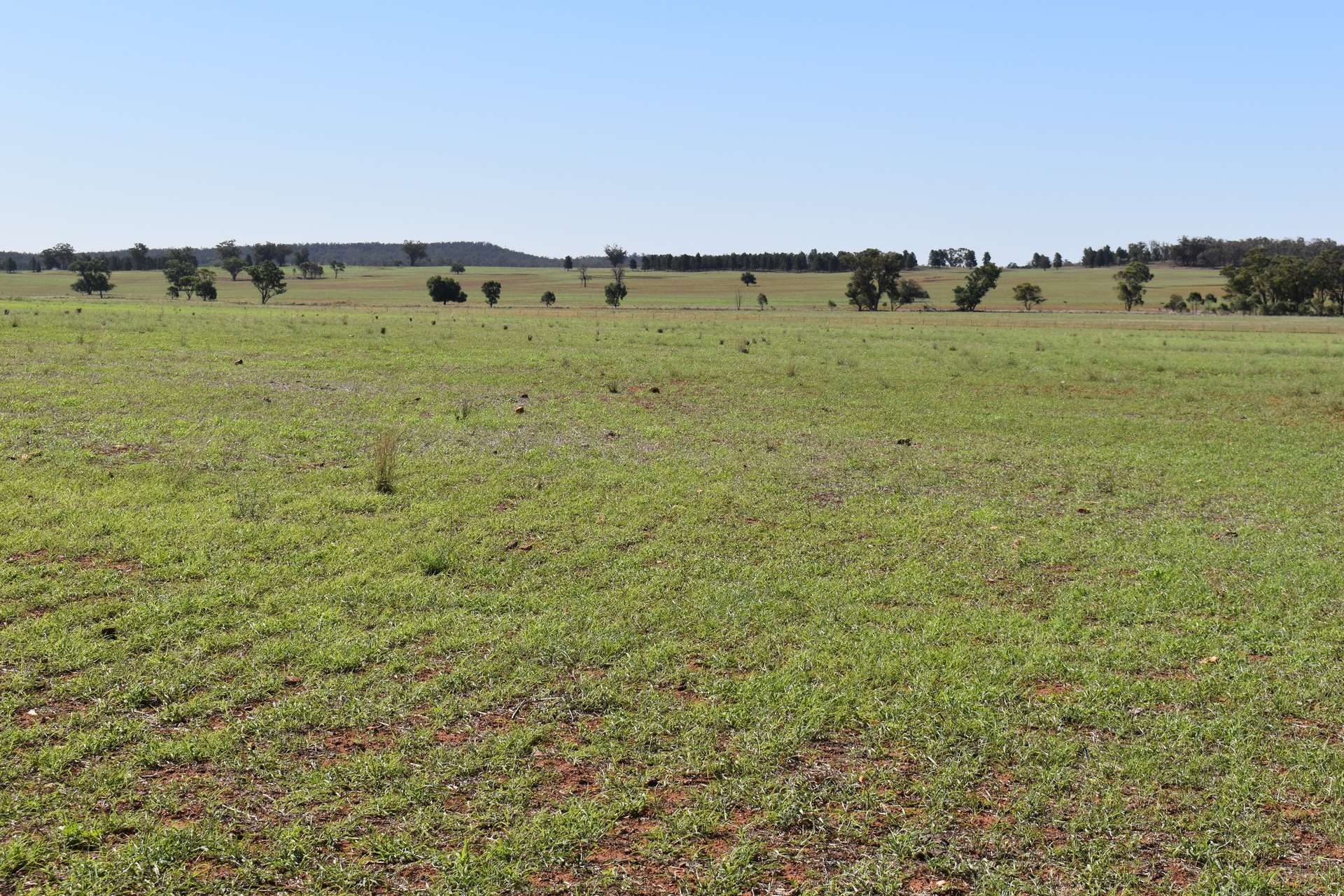 2892 Springvale Road, Condobolin For Sale by Farmbuy.com - image 16