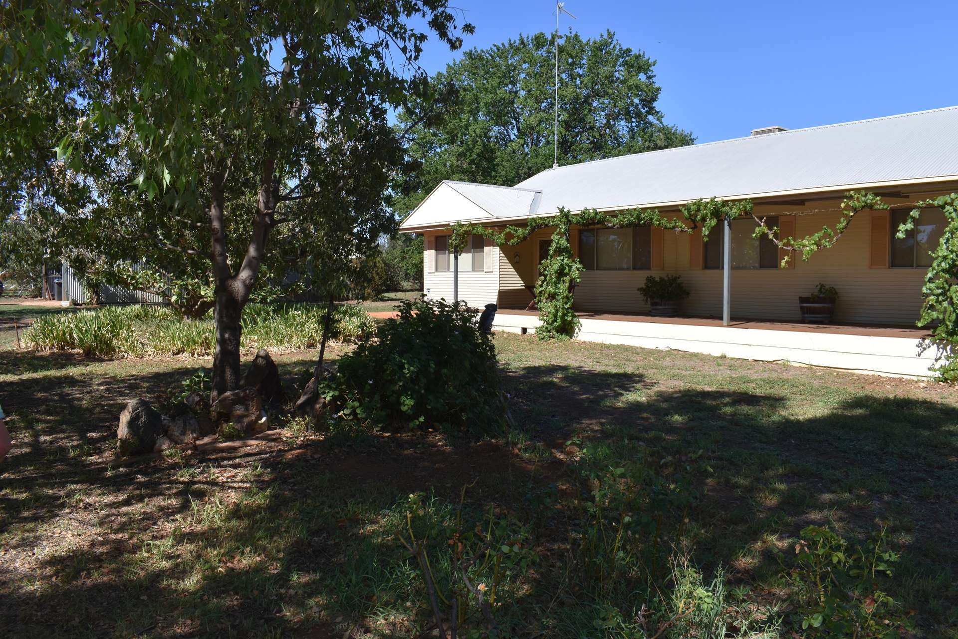 2892 Springvale Road, Condobolin For Sale by Farmbuy.com - image 31