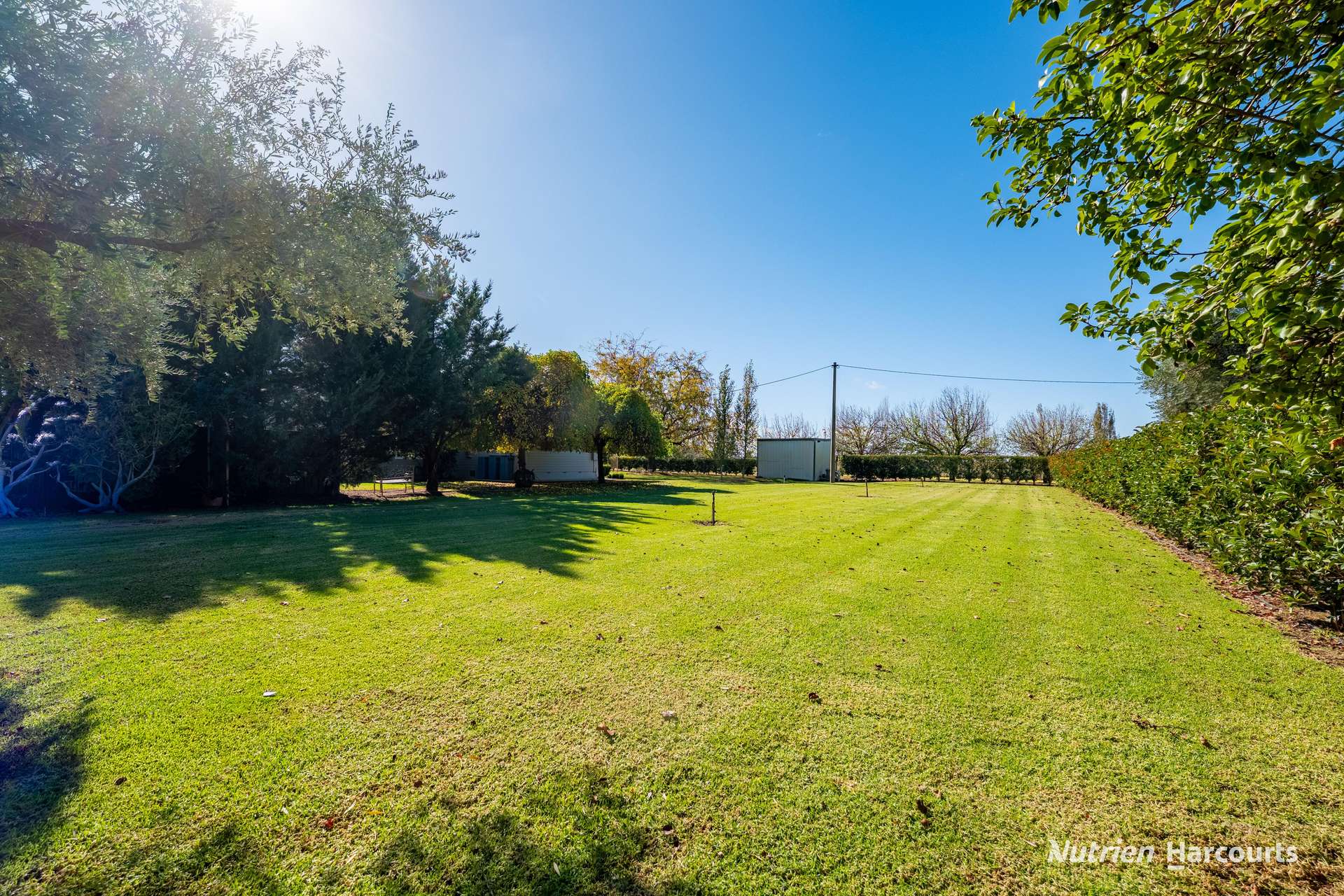 392 Rossetto Road, Bilbul For Sale by Farmbuy.com - image 32