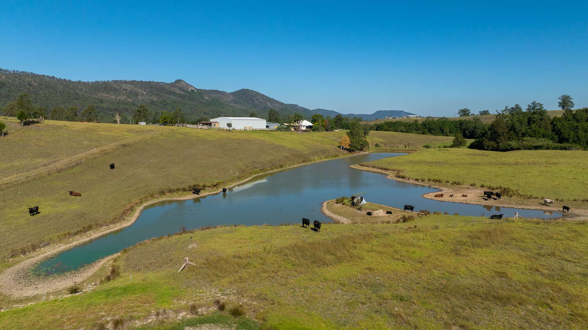 49 Maddens Lane, Wards River VIA, Gloucester For Sale by Farmbuy.com - image 31
