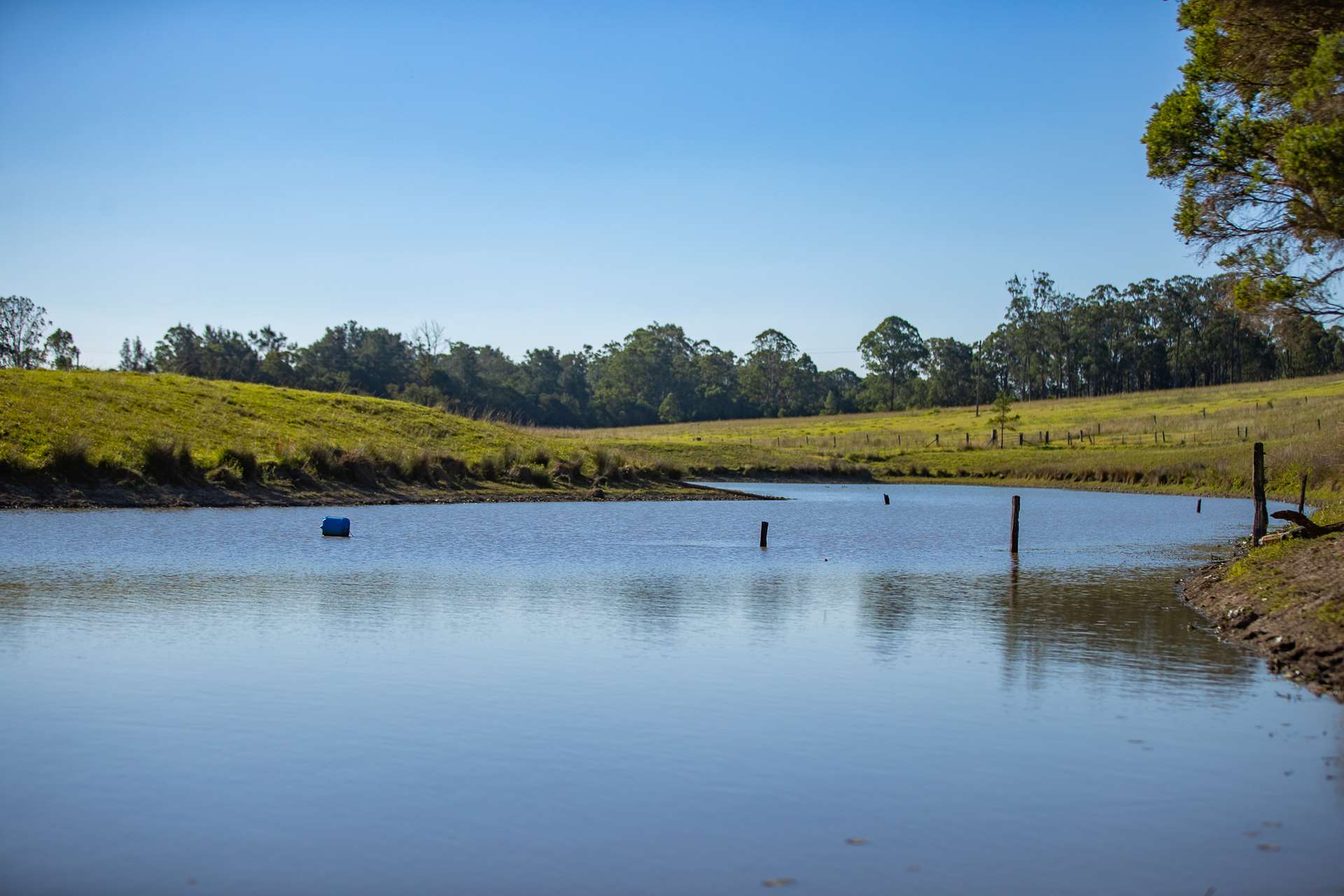 49 Maddens Lane, Wards River VIA, Gloucester For Sale by Farmbuy.com - image 32
