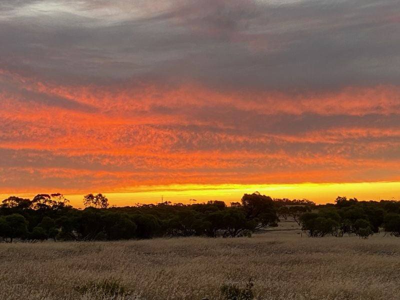 Lot 285 Flinders Highway, Streaky Bay For Sale by Farmbuy.com - image 1
