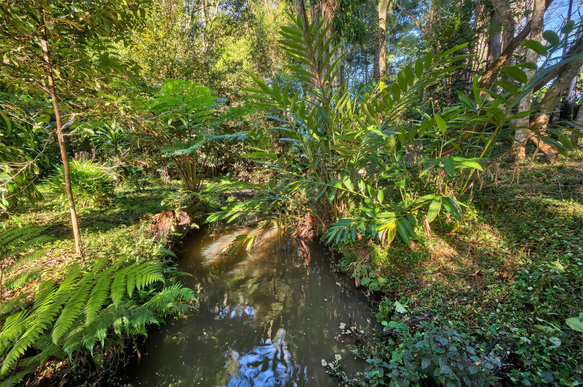 48 Gumland Drive, Witta For Sale by Farmbuy.com - image 8