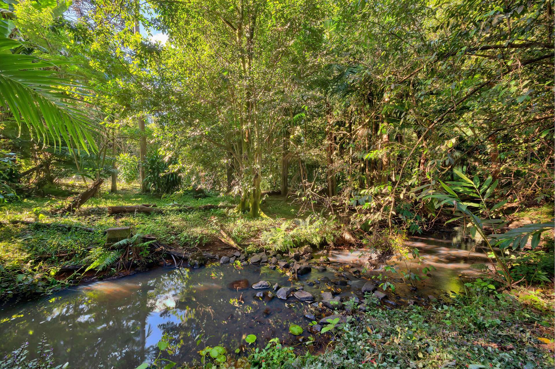 48 Gumland Drive, Witta For Sale by Farmbuy.com - image 10
