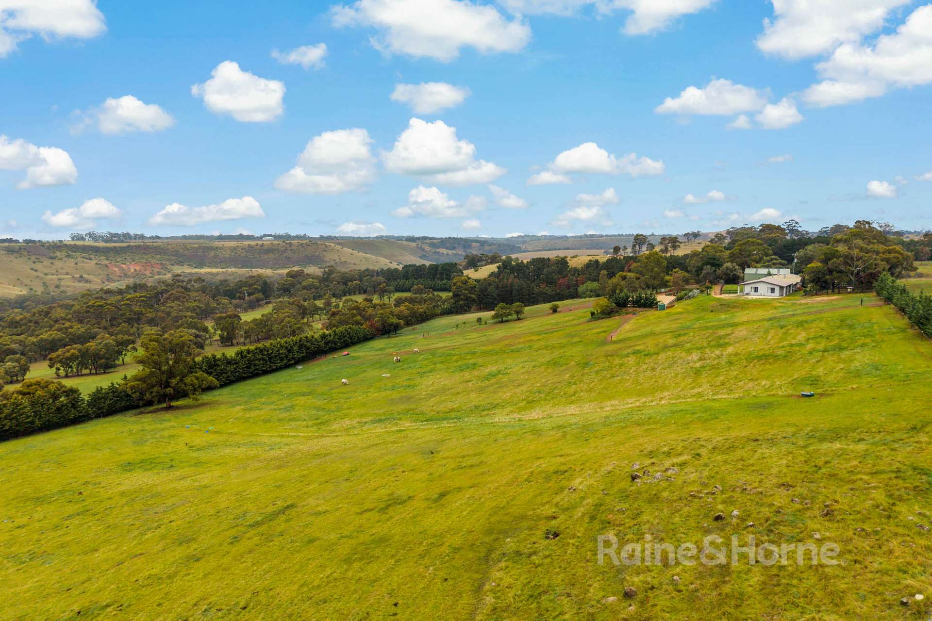 450 Wildwood Road, Wildwood For Sale by Farmbuy.com - image 16