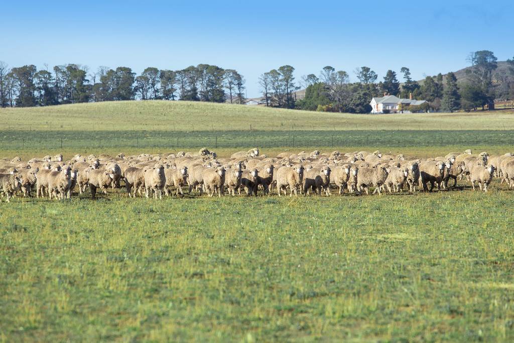7651 Monaro Highway, Cooma NSW 2630
