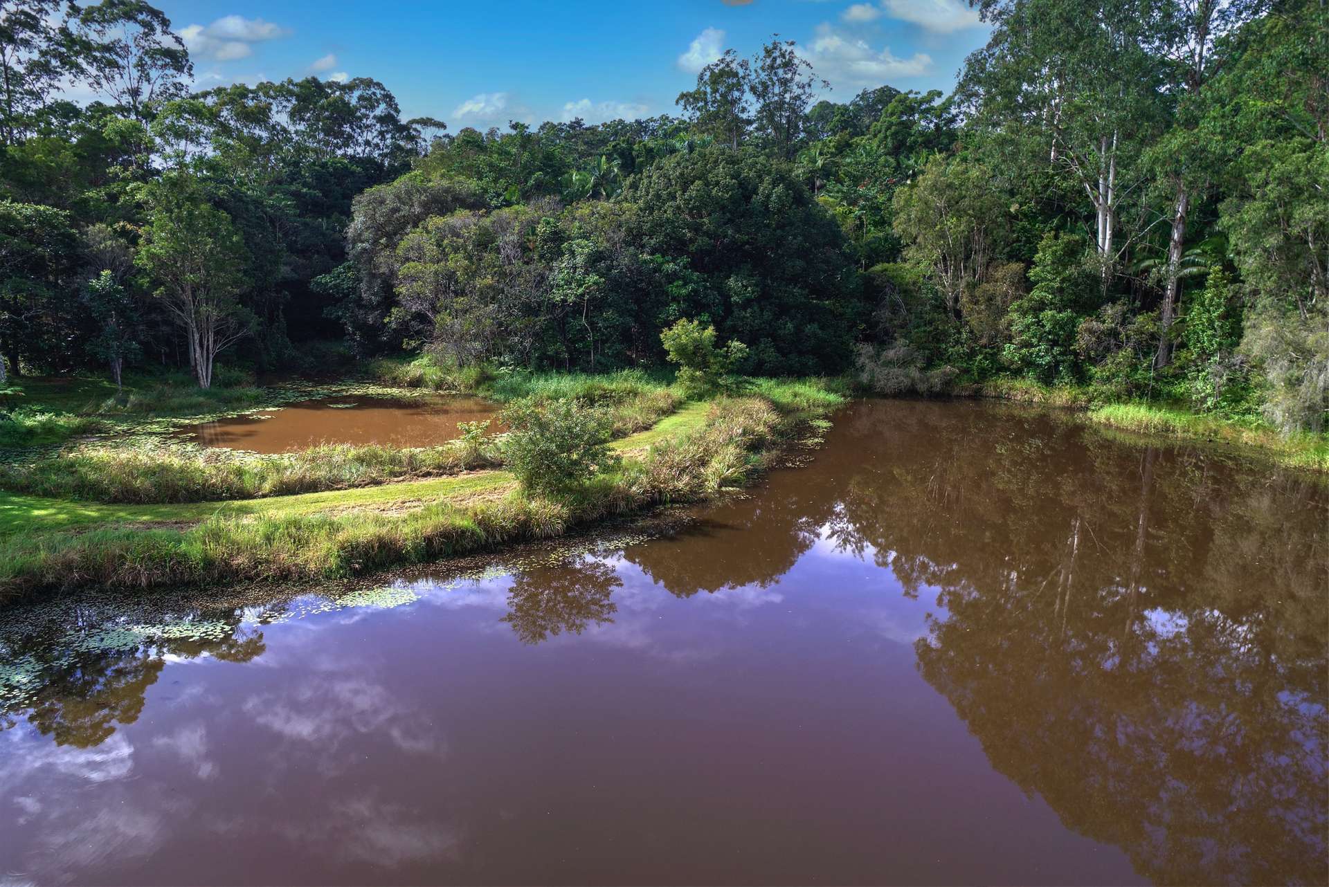 176 Nandroya Road, Cooroy For Sale by Farmbuy.com - image 28