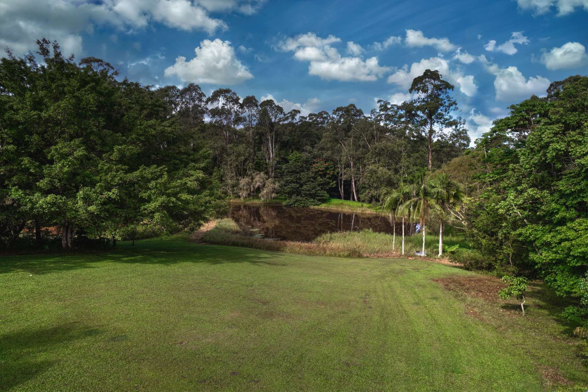 176 Nandroya Road, Cooroy For Sale by Farmbuy.com - image 22