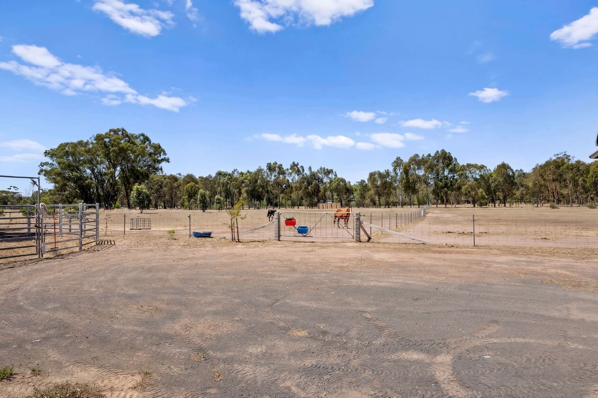 320 High Street, Violet Town For Sale by Farmbuy.com - image 15
