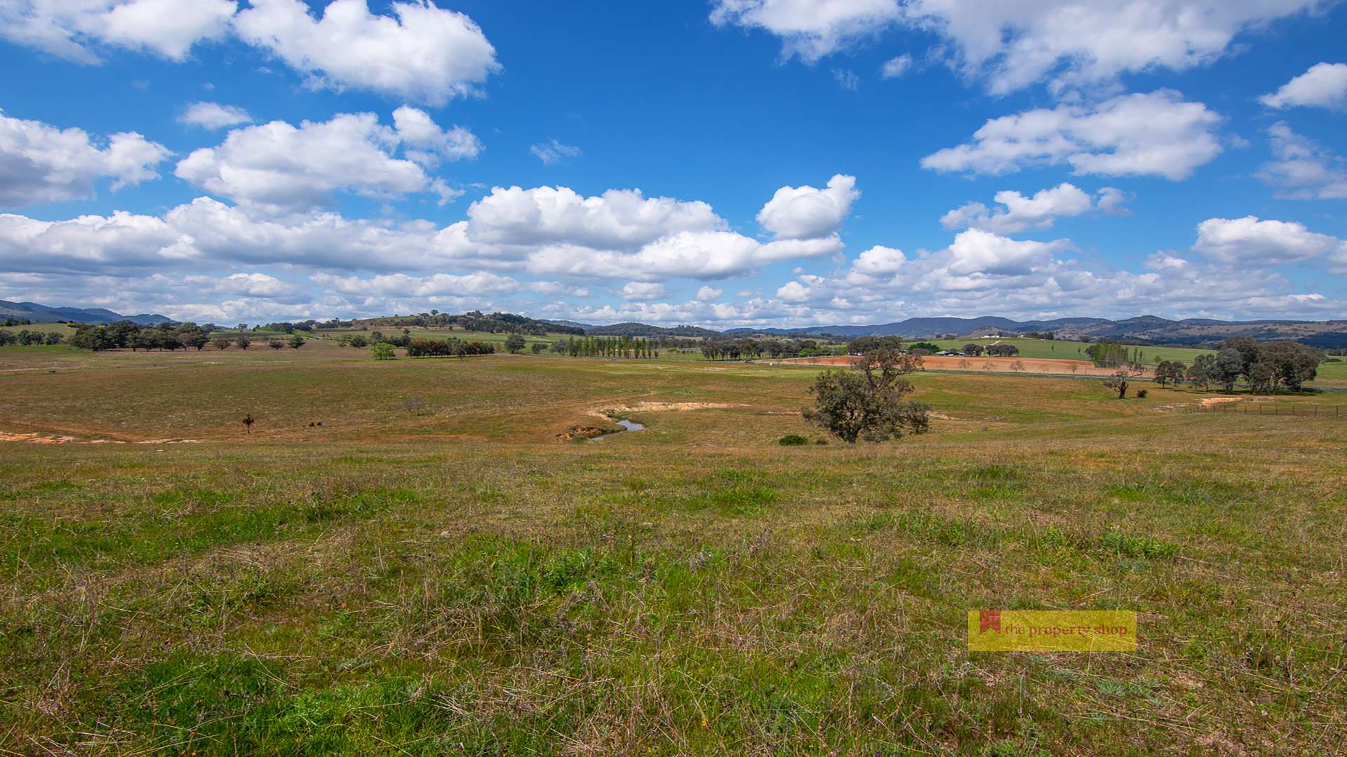 473-475 Burrundulla Road, Mudgee For Sale by Farmbuy.com - image 13