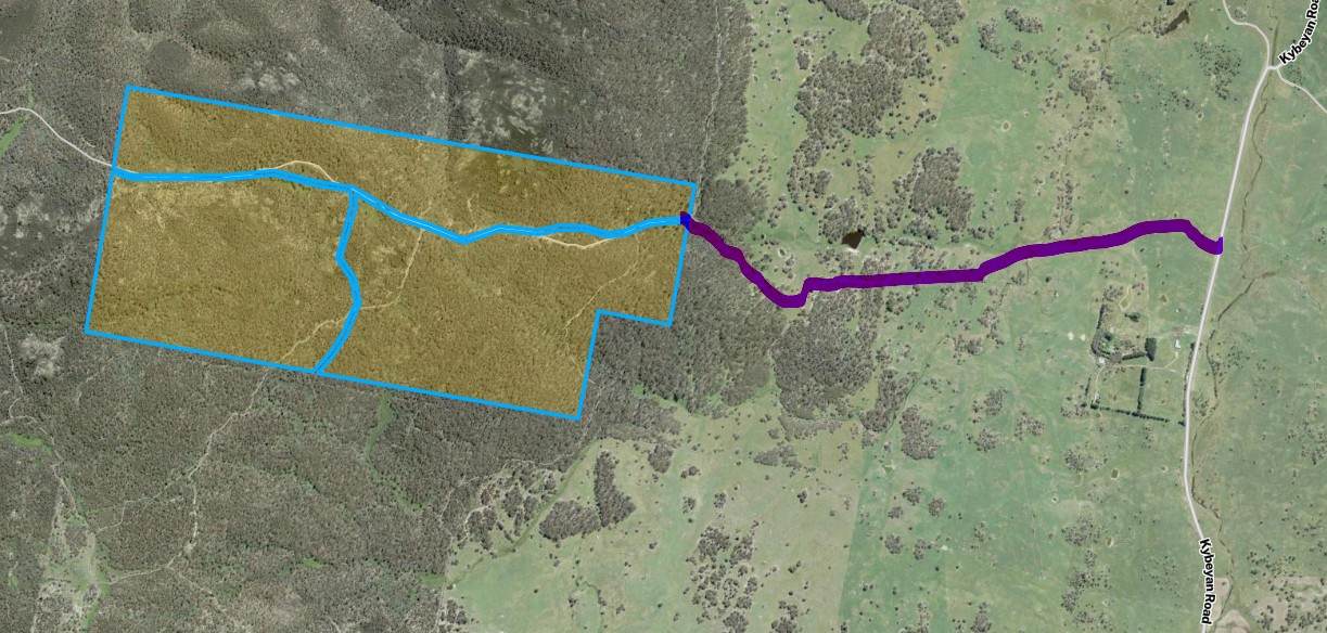 Lot 67, 1830 Dangelong Road, Kybeyan For Sale by Farmbuy.com - image 18
