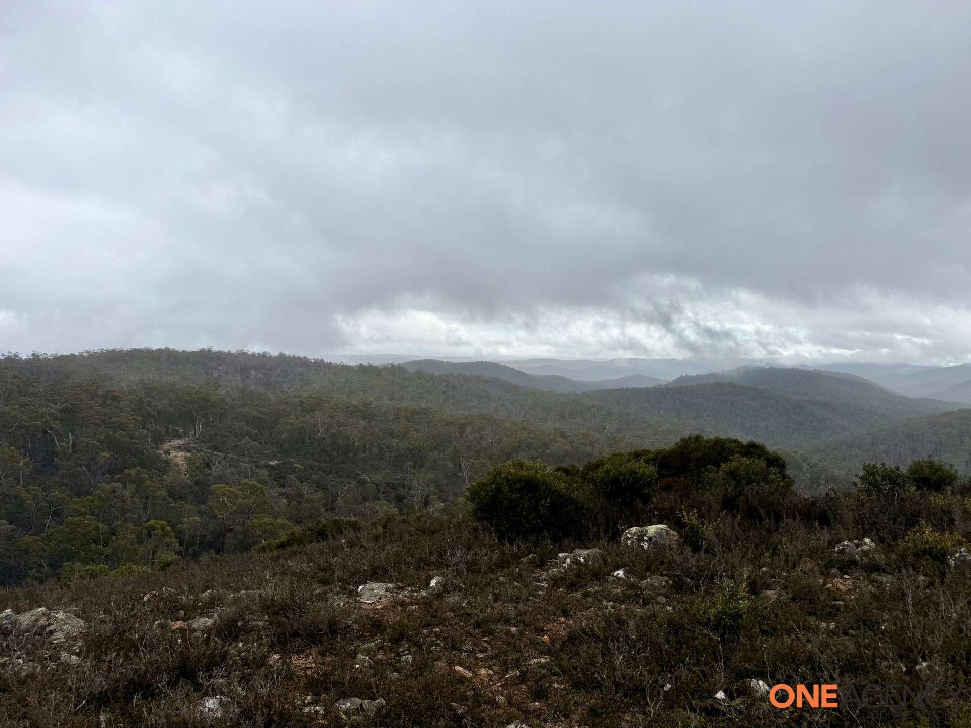Lot 67, 1830 Dangelong Road, Kybeyan For Sale by Farmbuy.com - image 3