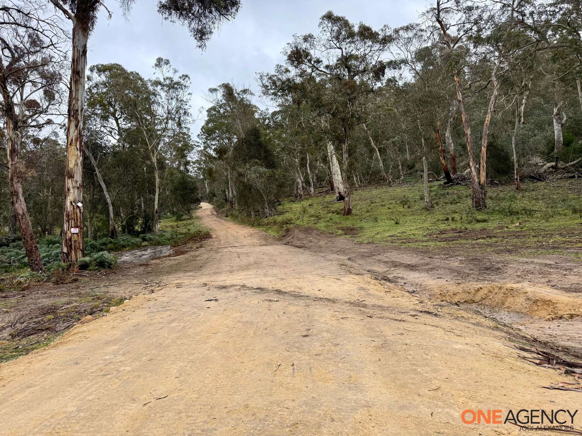 Lot 67, 1830 Dangelong Road, Kybeyan For Sale by Farmbuy.com - image 1