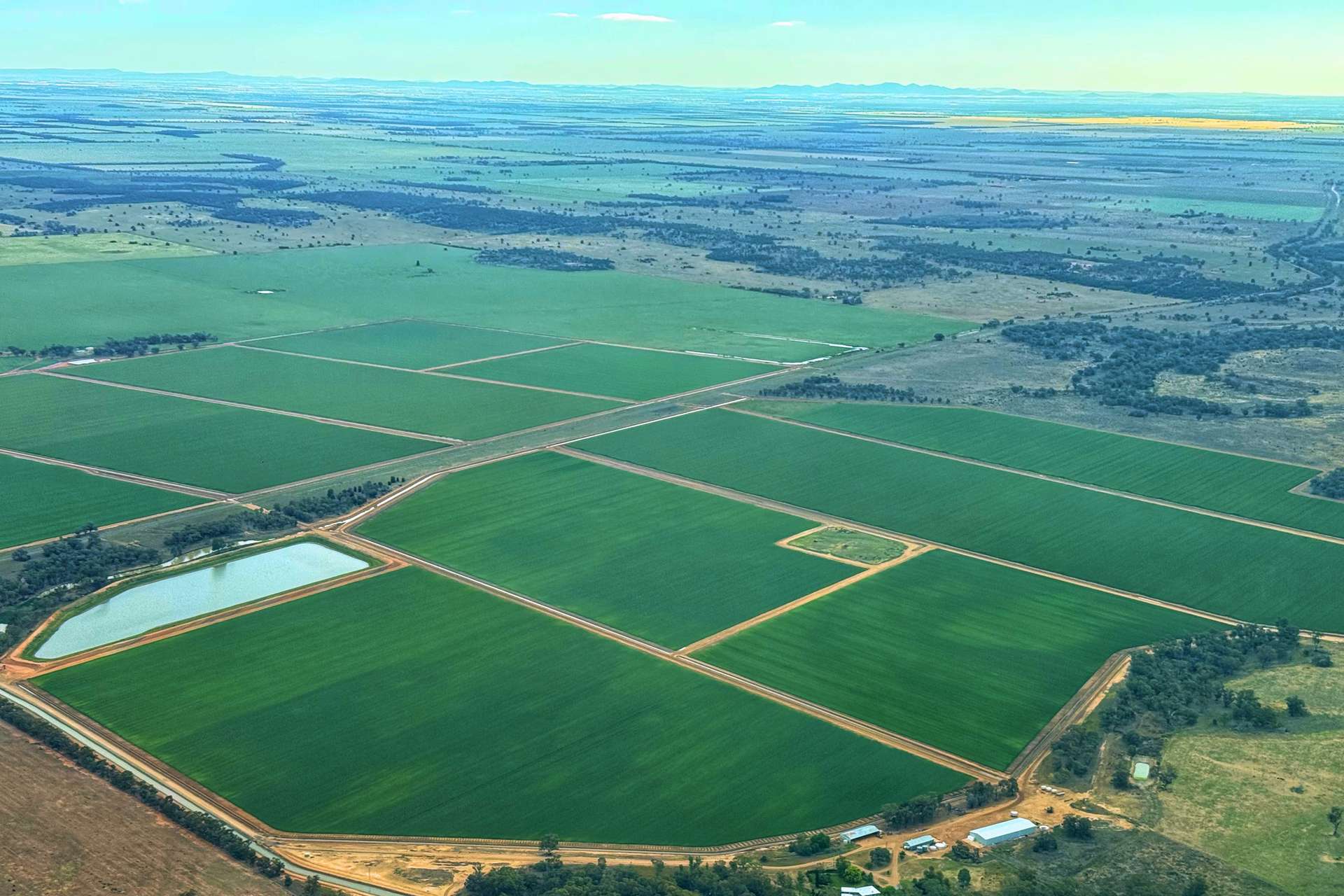 'Wardry' 13132 Lachlan Valley Way, Condobolin For Sale by Farmbuy.com - image 3
