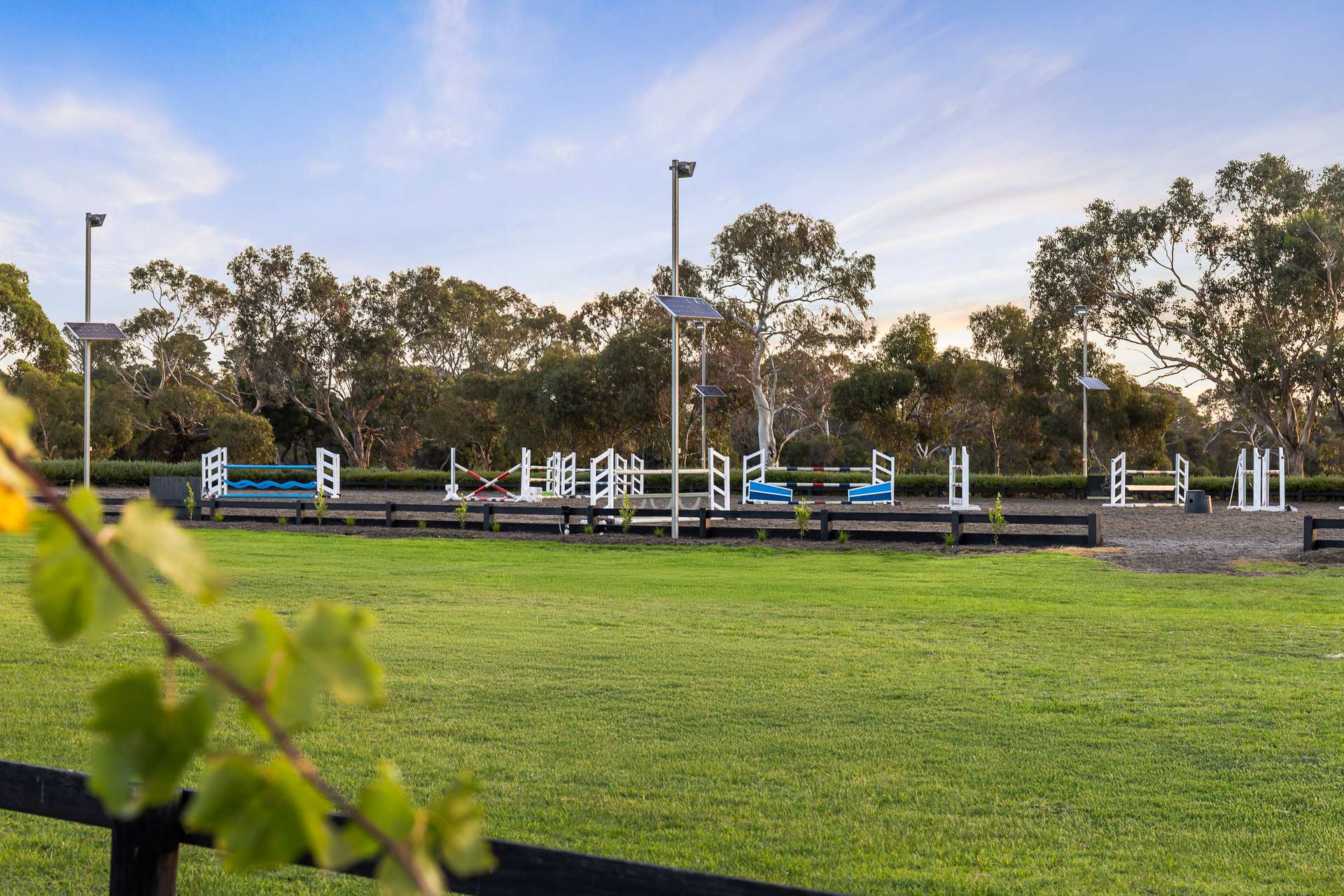 275 Mornington-Tyabb Road, Moorooduc Auction by Farmbuy.com - image 3