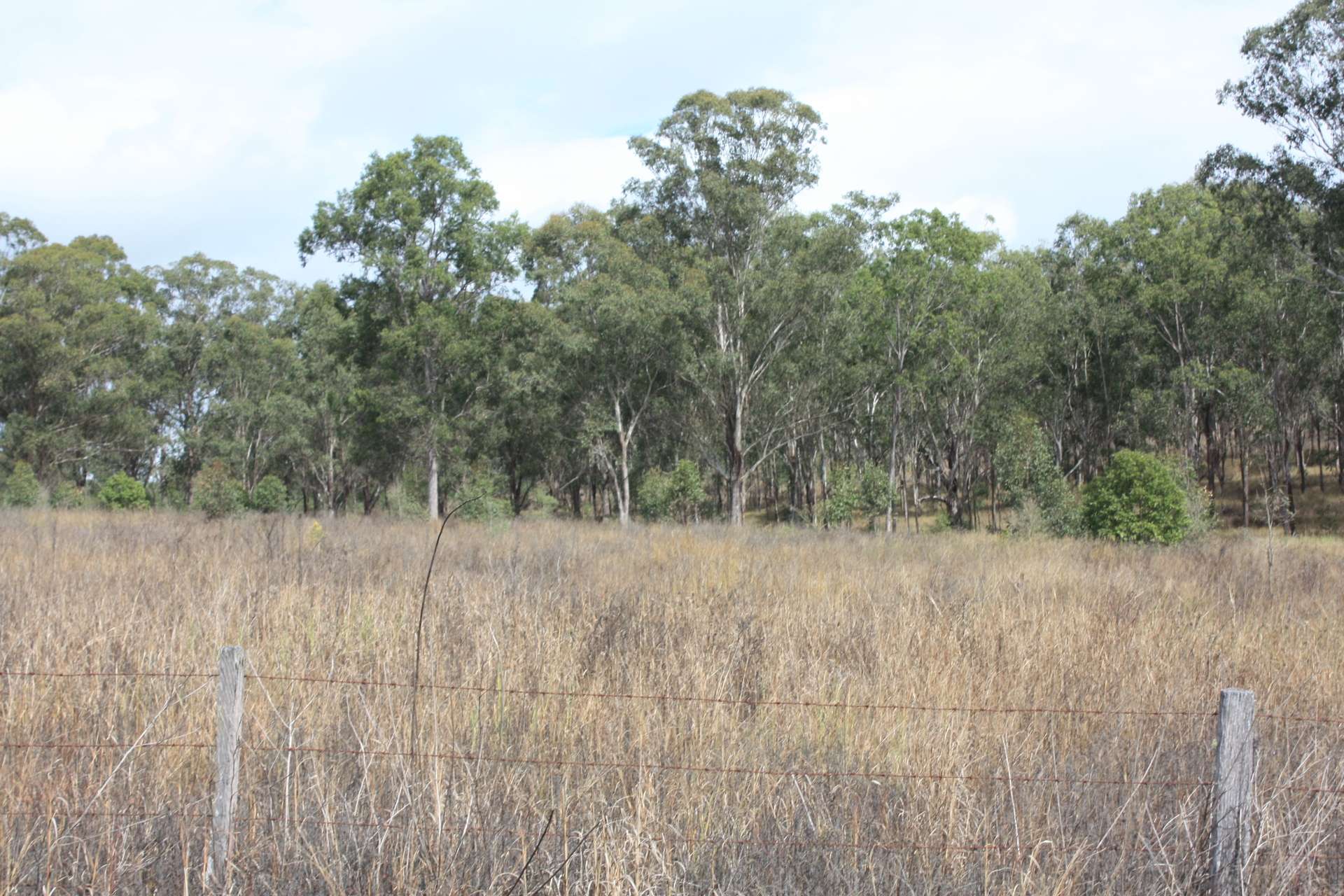 9372 Mt Lindesay Road, Tamrookum For Sale by Farmbuy.com - image 3
