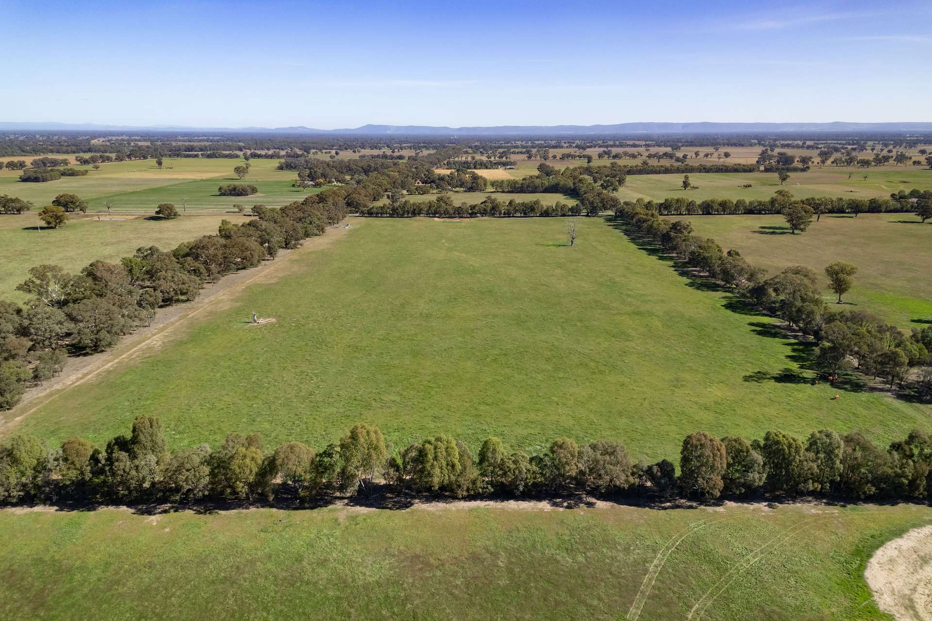 486 Carraragarmungee Estate Road, Byawatha Auction by Farmbuy.com - image 4