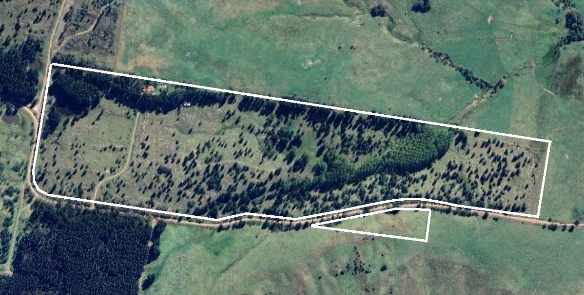242 Kain Cross Road, Braidwood For Sale by Farmbuy.com - image 35