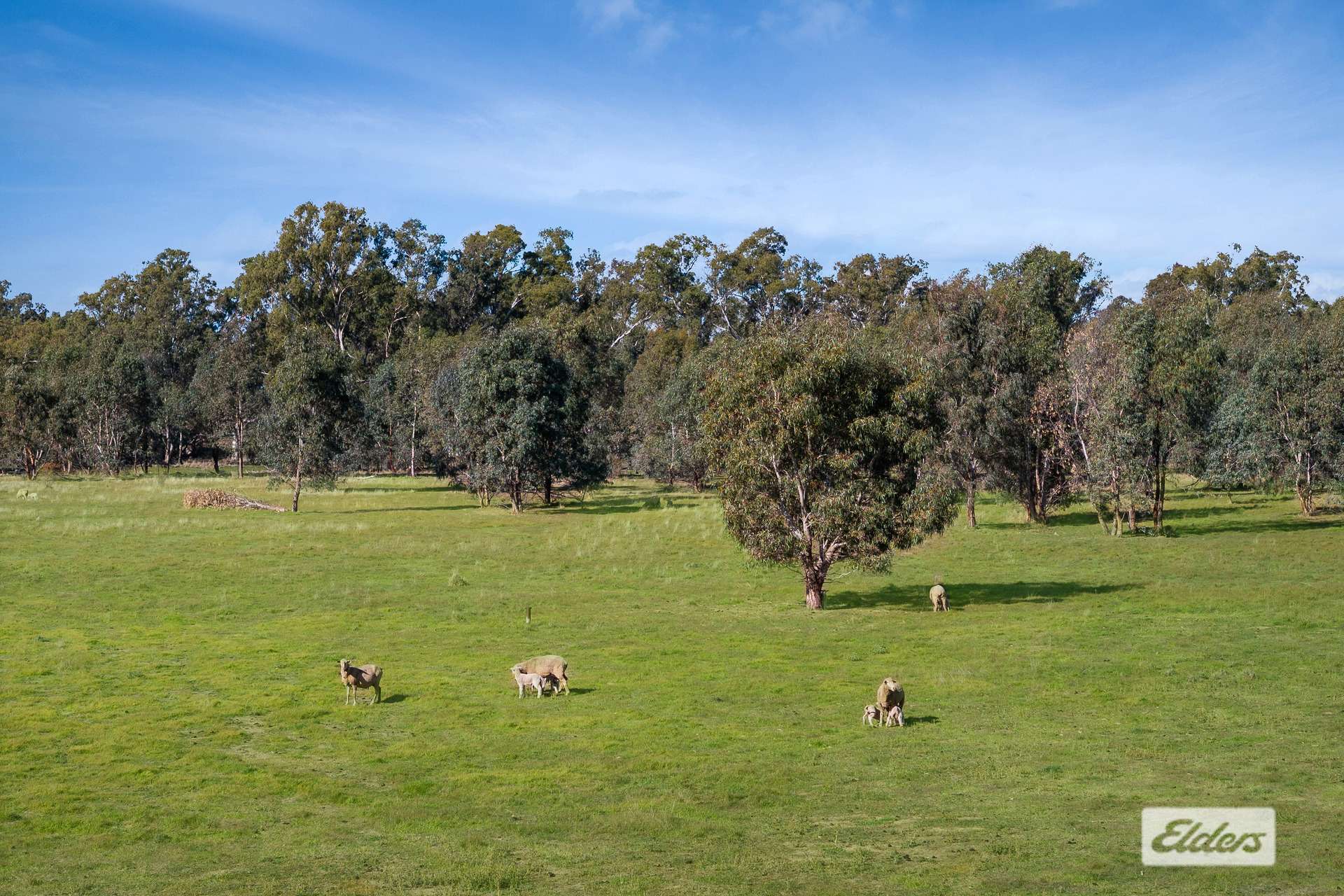 421 Laanecoorie-Newbridge Road, Newbridge For Sale by Farmbuy.com - image 8