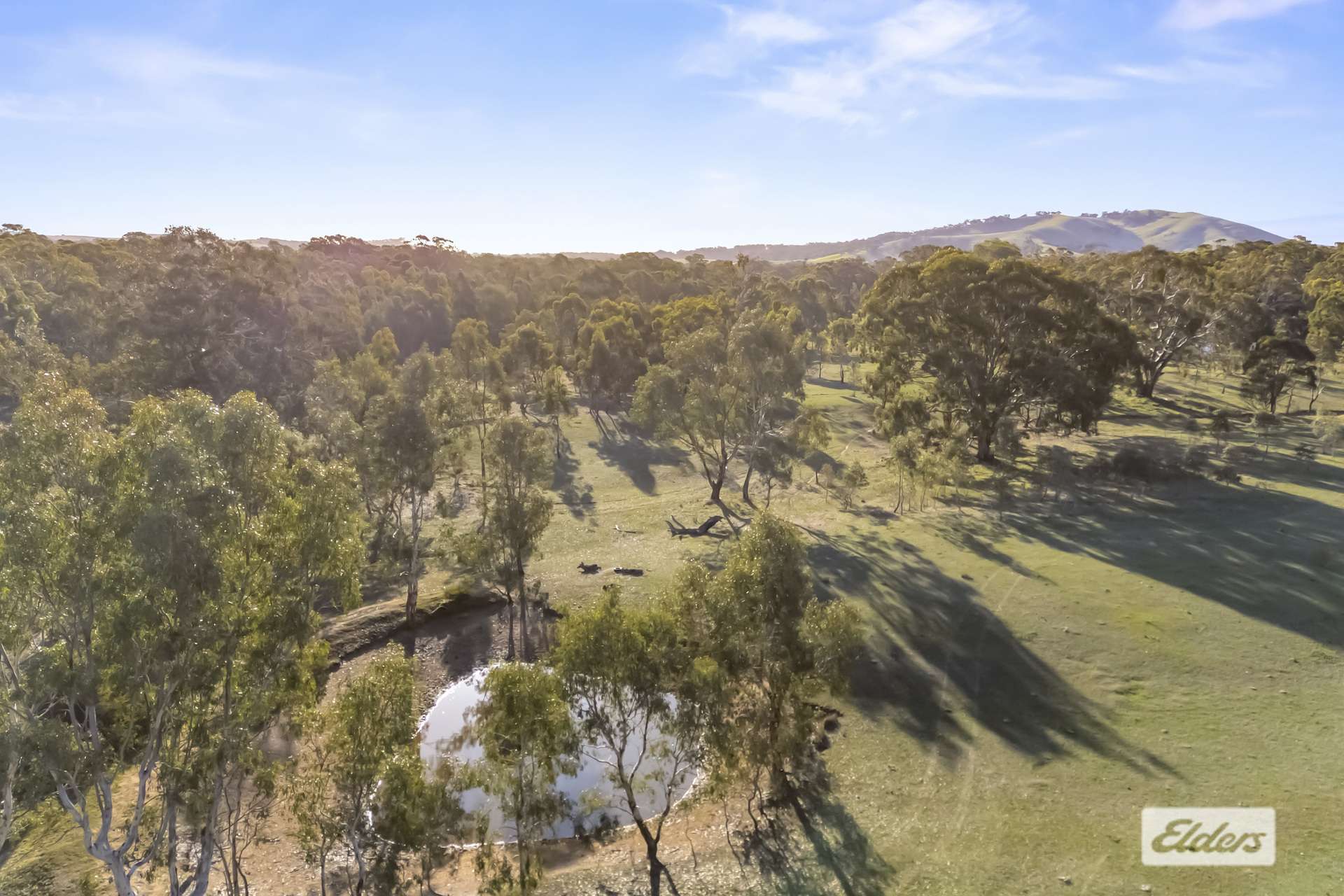 Lot 12 & 12A,  Deenicull Creek Road, Cathcart For Sale by Farmbuy.com - image 4