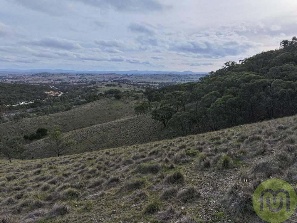 678 Sheldricks Lane, Manton For Sale by Farmbuy.com - image 16