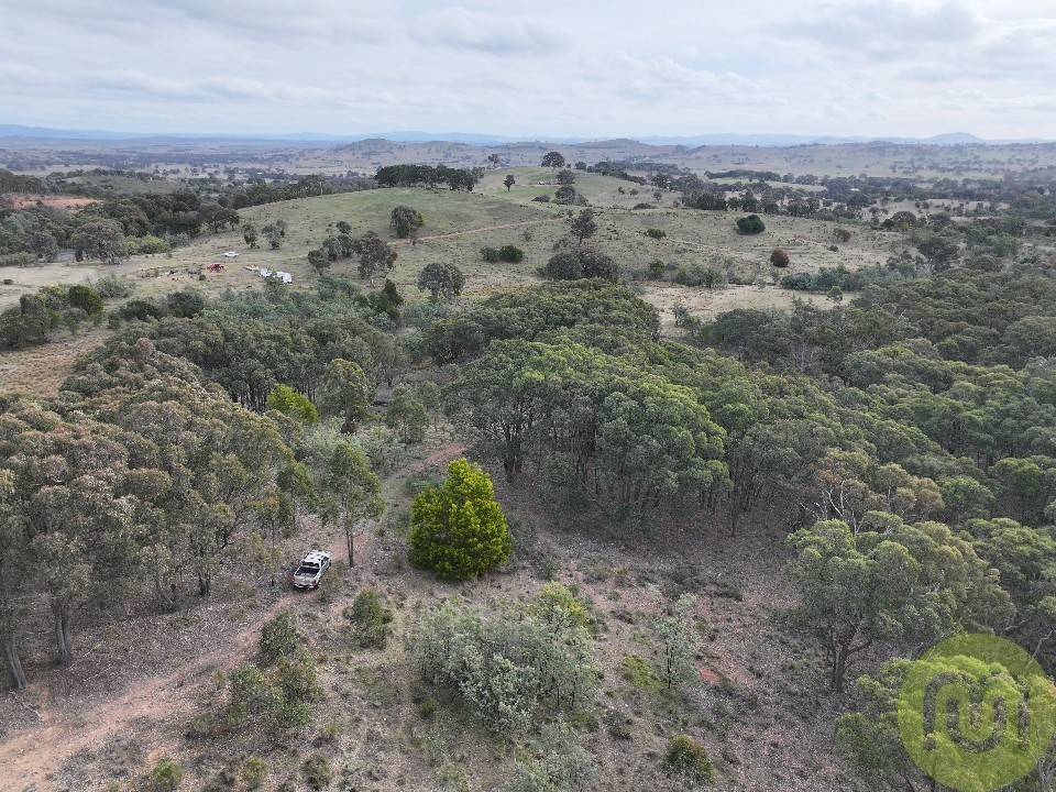 678 Sheldricks Lane, Manton For Sale by Farmbuy.com - image 14