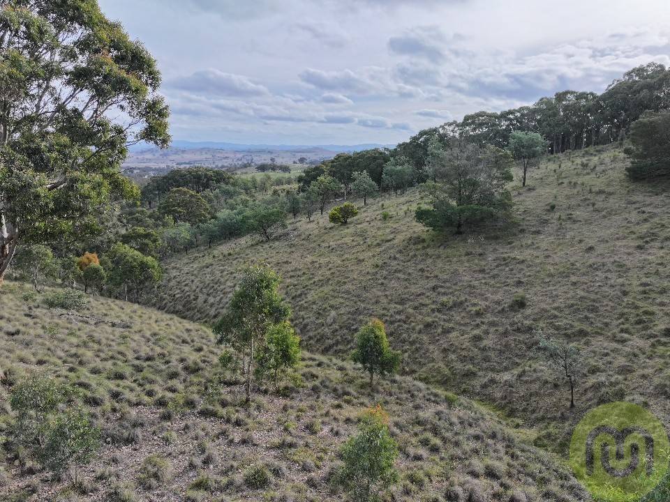 678 Sheldricks Lane, Manton For Sale by Farmbuy.com - image 11