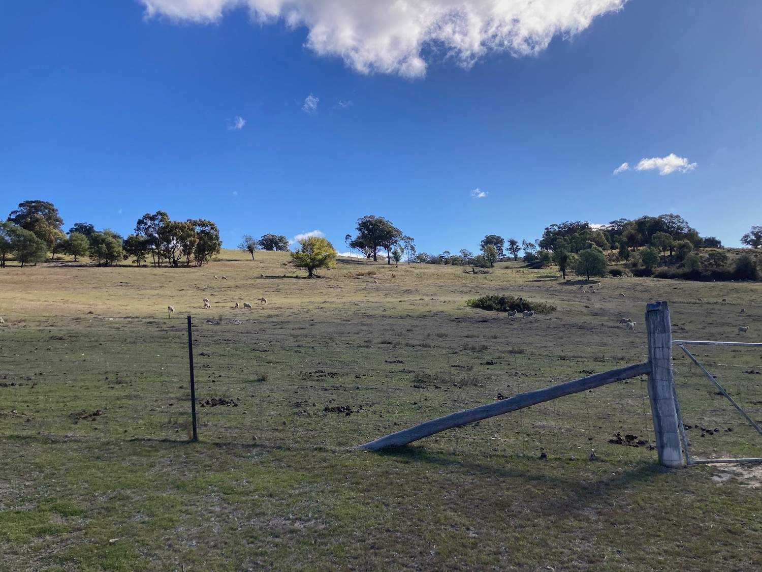 1376 Redground Rd, Crookwell For Sale by Farmbuy.com - image 29