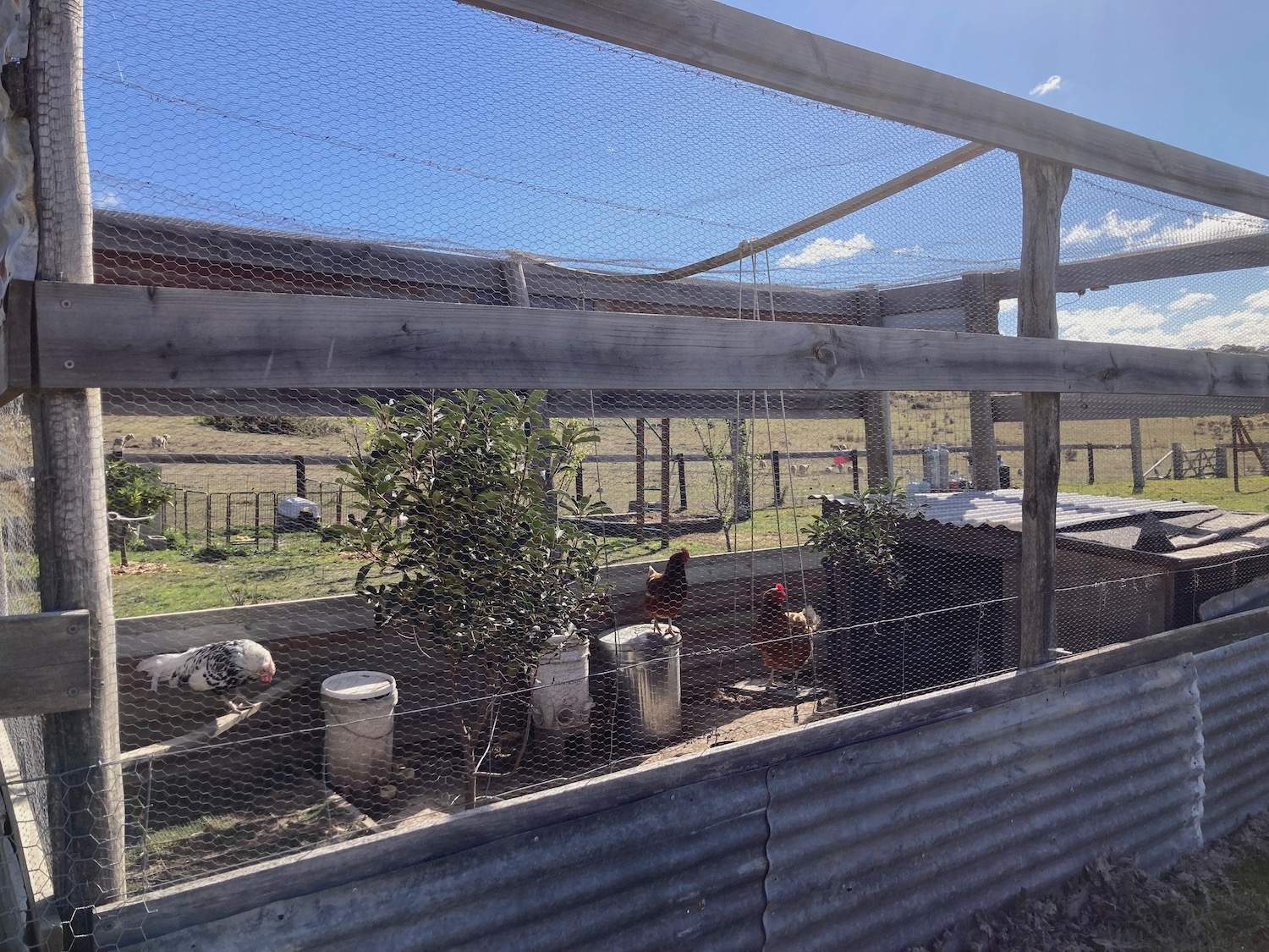 1376 Redground Rd, Crookwell For Sale by Farmbuy.com - image 20