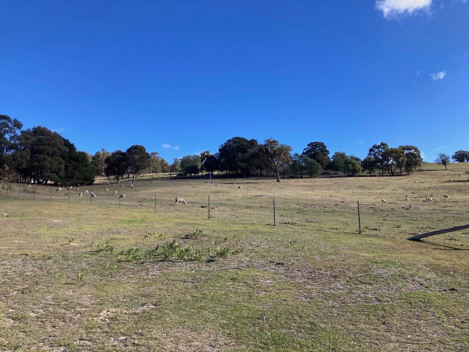 1376 Redground Rd, Crookwell For Sale by Farmbuy.com - image 28