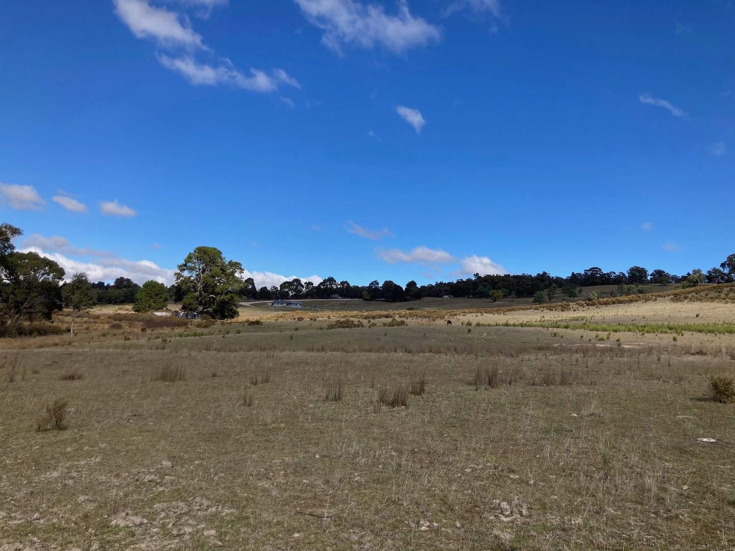 1376 Redground Rd, Crookwell For Sale by Farmbuy.com - image 26