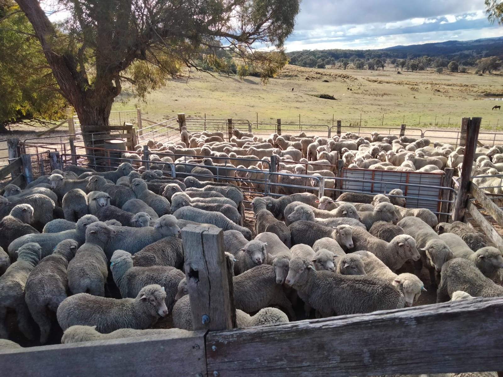 1376 Redground Rd, Crookwell For Sale by Farmbuy.com - image 5