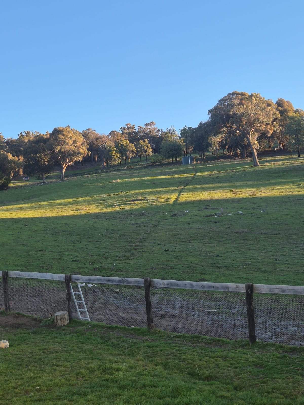 1376 Redground Rd, Crookwell For Sale by Farmbuy.com - image 6