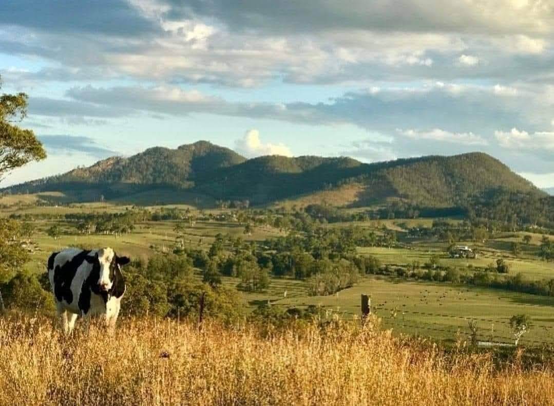 81 Kia Ora Hill Road, Bowman Farm VIA, Gloucester For Sale by Farmbuy.com - image 2