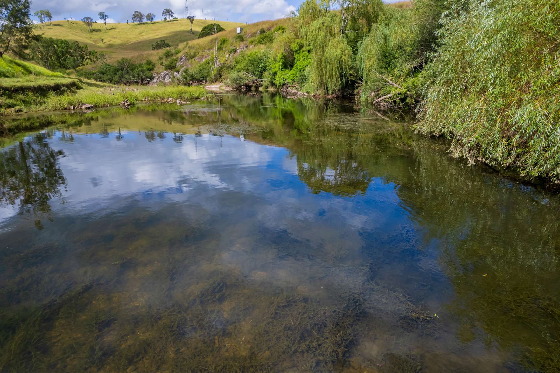 81 Kia Ora Hill Road, Bowman Farm VIA, Gloucester For Sale by Farmbuy.com - image 11