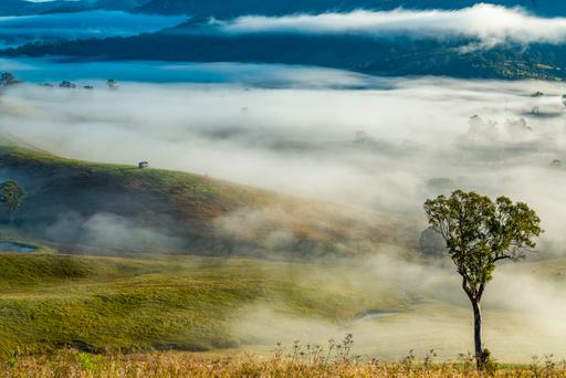 81 Kia Ora Hill Road&comma; Bowman Farm VIA, Gloucester NSW 2422