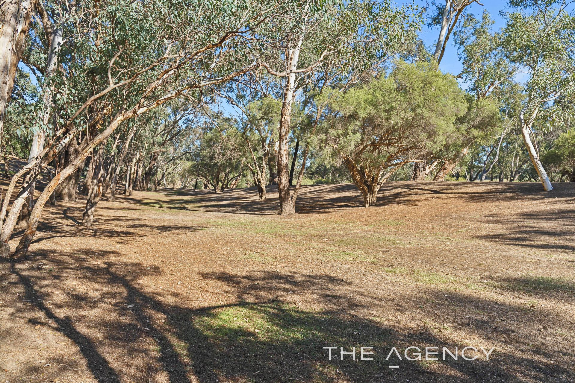 53 & 55 River Road, Herne Hill For Sale by Farmbuy.com - image 9