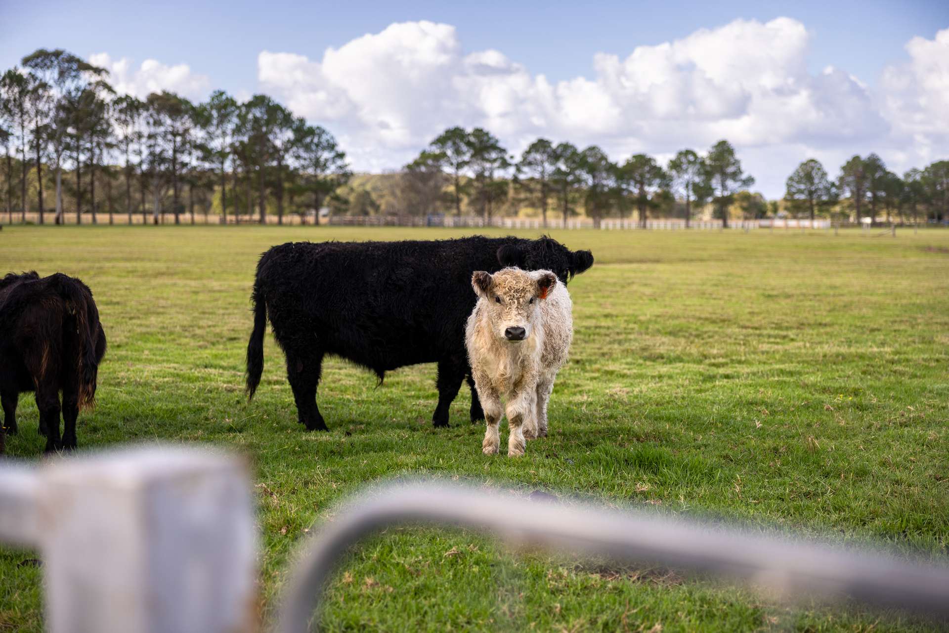 700 Manning Point Road, Oxley Island For Sale by Farmbuy.com - image 3