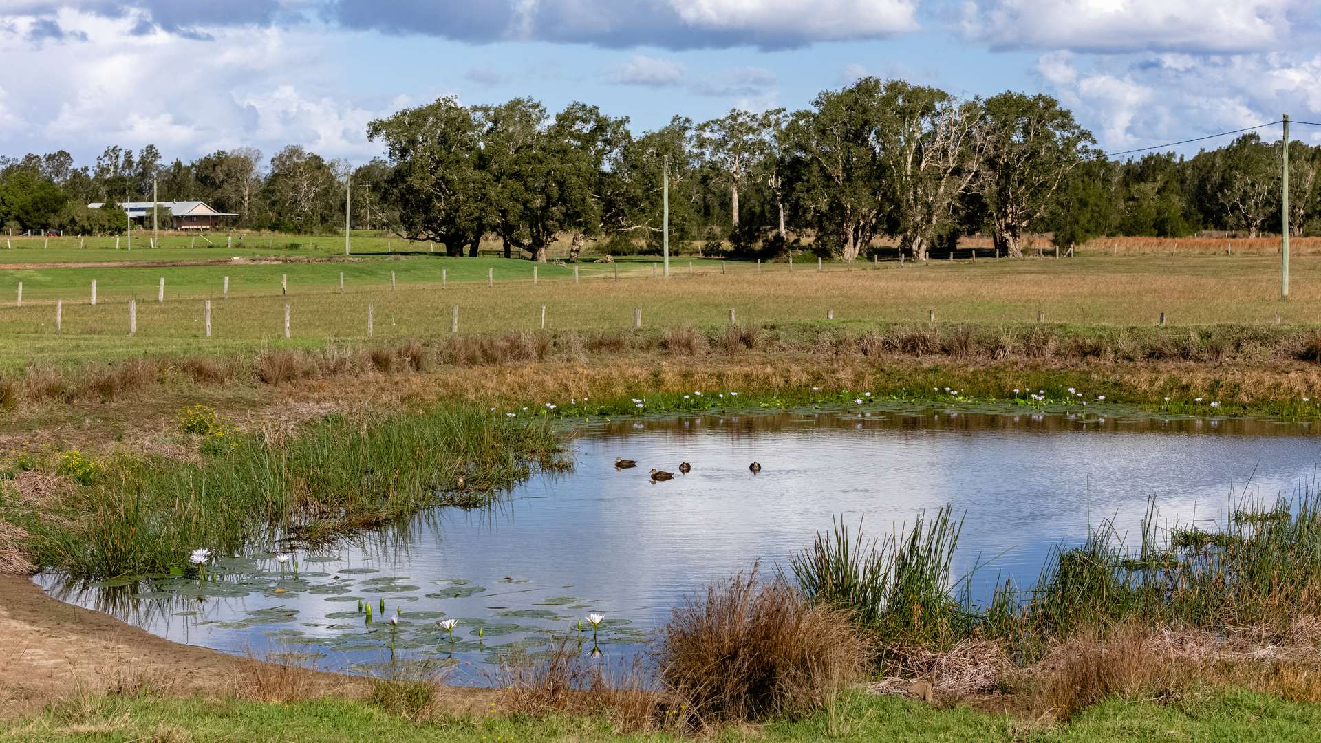 700 Manning Point Road, Oxley Island For Sale by Farmbuy.com - image 25