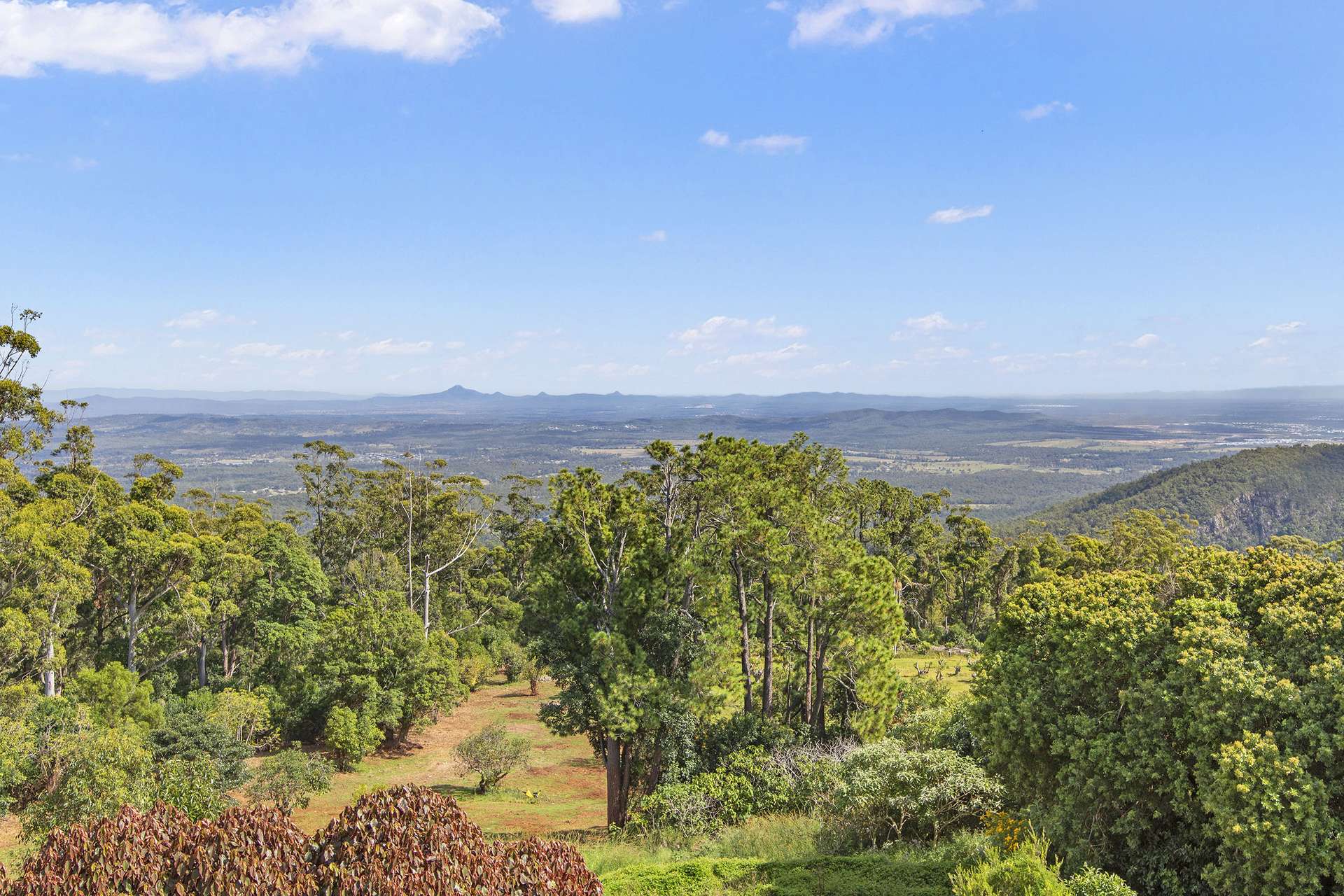222-226 MacDonnell Road, Tamborine Mountain For Sale by Farmbuy.com - image 5