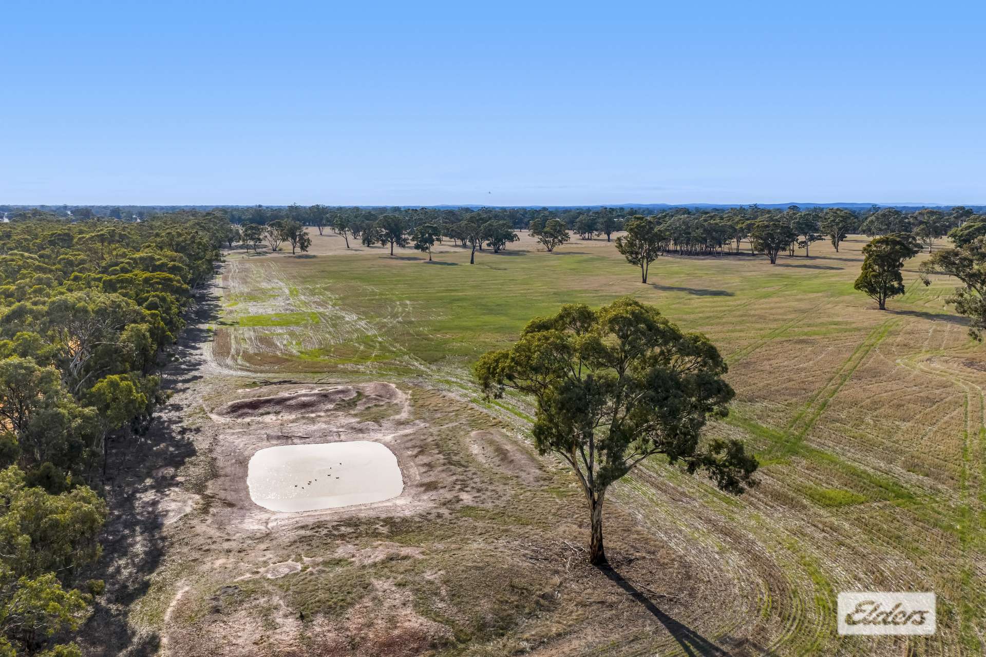 190 Lake Road, Glenorchy For Sale by Farmbuy.com - image 6