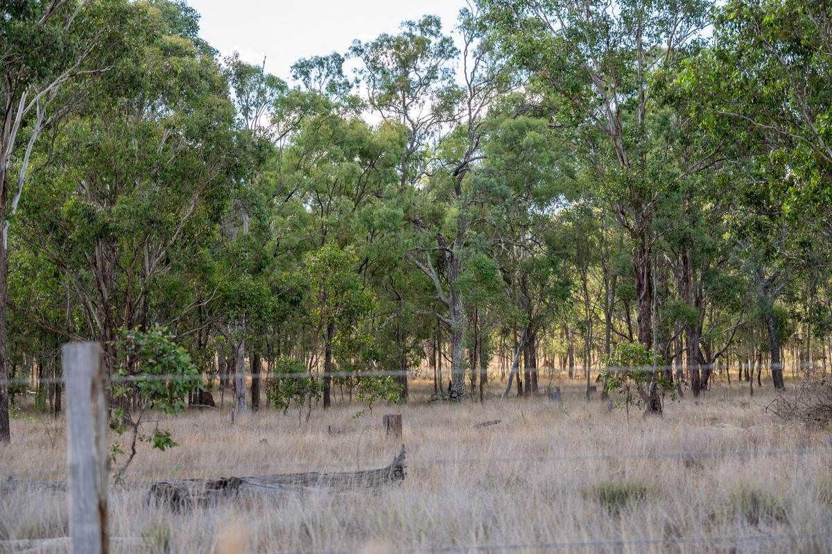 Lot 24,  Hermitage Emuvale Road, Yangan For Sale by Farmbuy.com - image 8