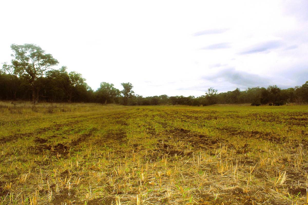 Lot 24,  Hermitage Emuvale Road, Yangan For Sale by Farmbuy.com - image 15