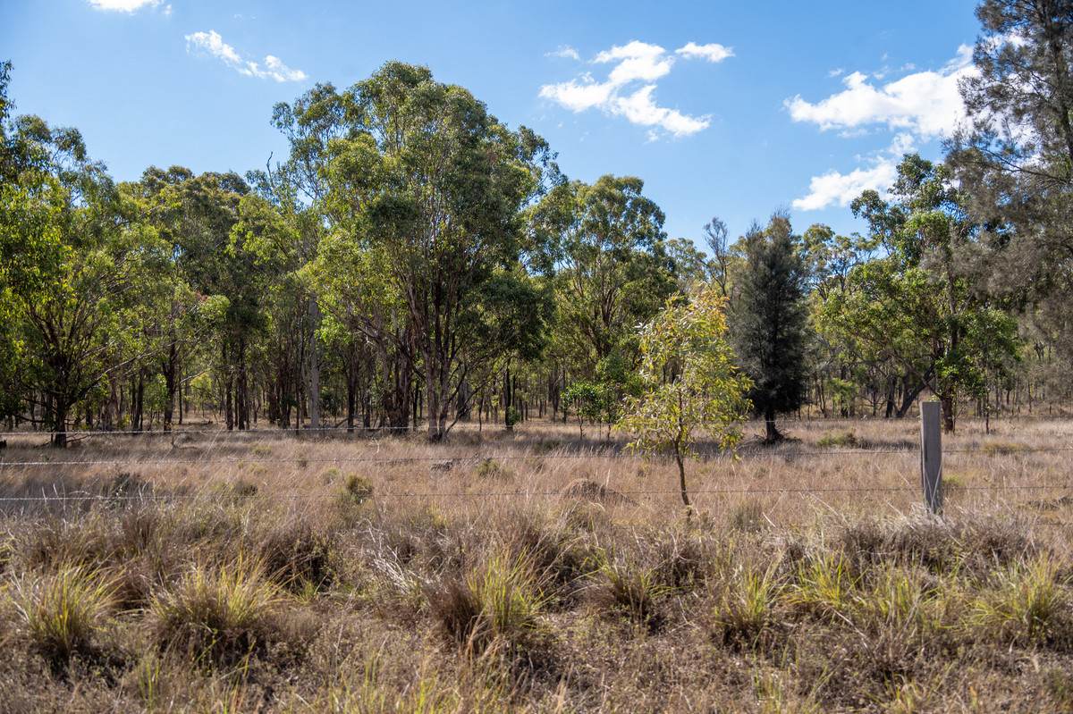 Lot 24,  Hermitage Emuvale Road, Yangan For Sale by Farmbuy.com - image 11