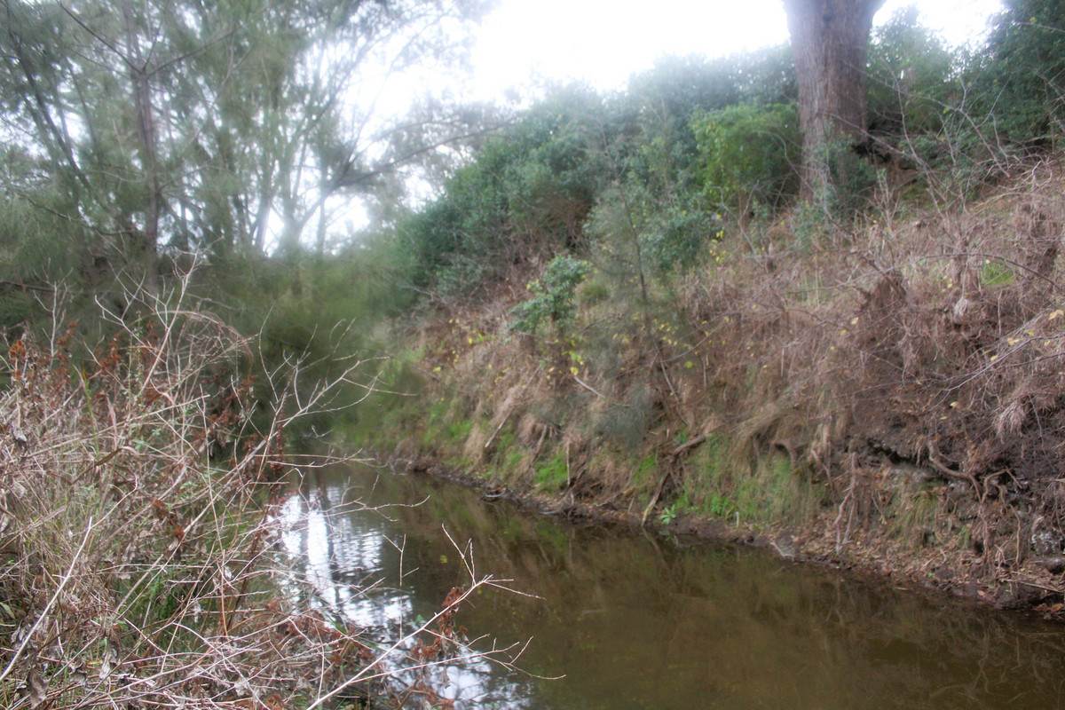 Lot 24,  Hermitage Emuvale Road, Yangan For Sale by Farmbuy.com - image 5