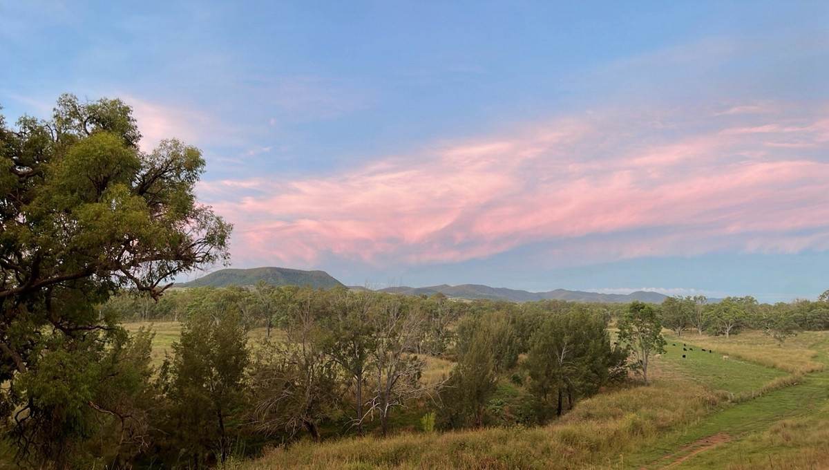 Lot 24,  Hermitage Emuvale Road, Yangan For Sale by Farmbuy.com - image 9